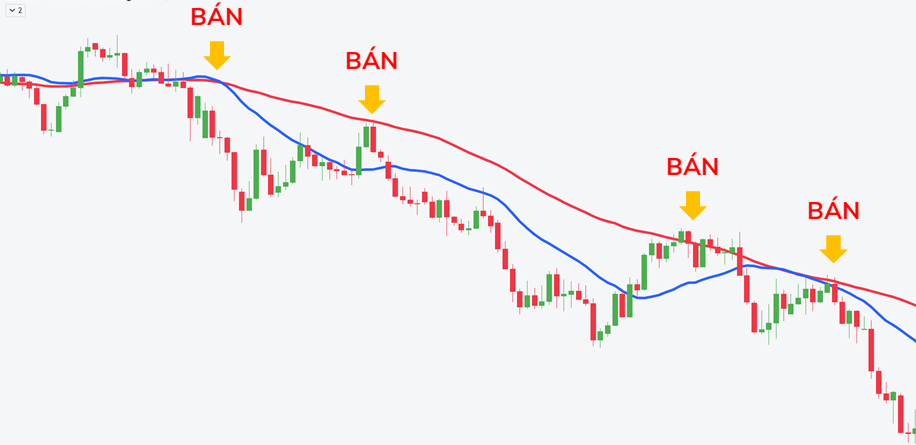 Bieu-do-giao-dich-voi-chi-bao-giao-cat-duong-trung-binh-dong-ma-20-va-ma-50-eurusd-d1