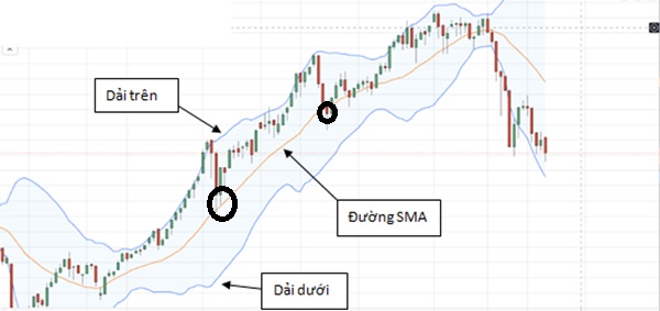 điểm Vào Lệnh Xu Hướng Bb
